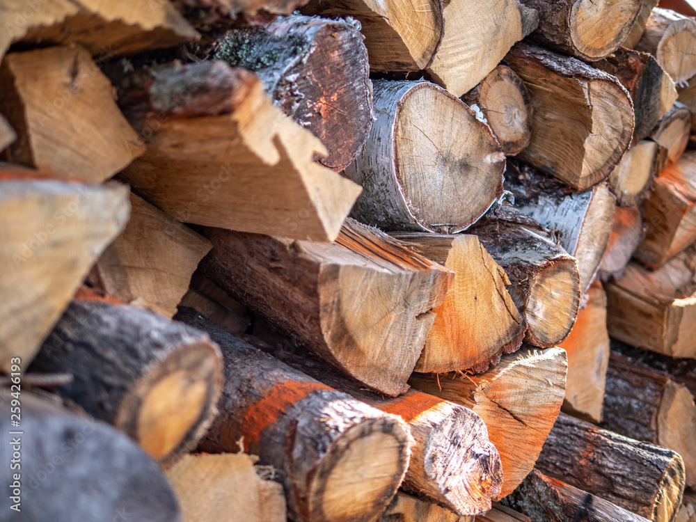 Dry chopped firewood logs ready for winter