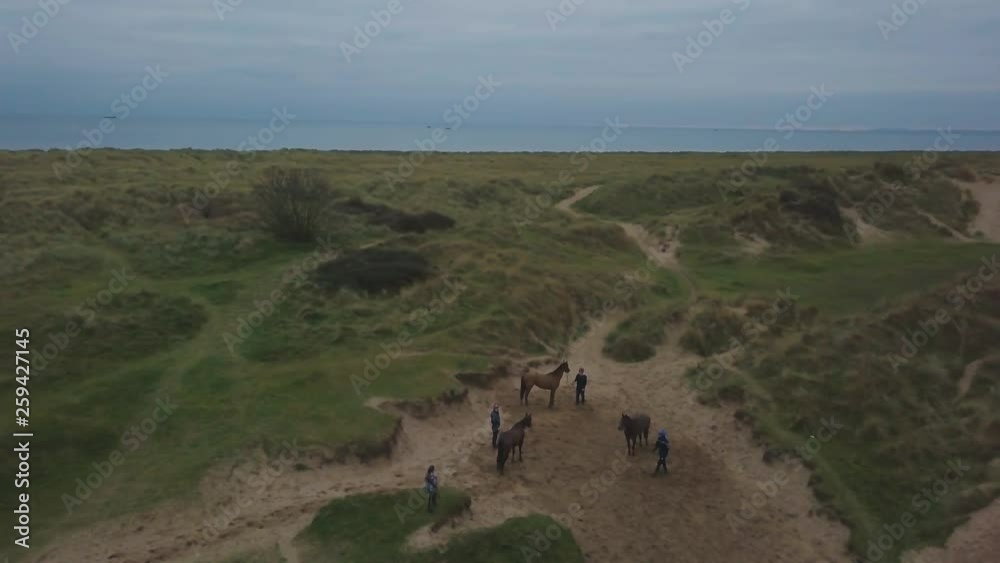 People get ready to make a ride with horses in the middle of green field taking video from high air top capturing video with drone. People get ready to make a ride with horses in the middle of green field taking video from high air top capturing video with drone.