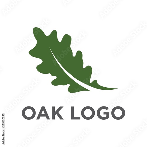 oak leaf logo vector design