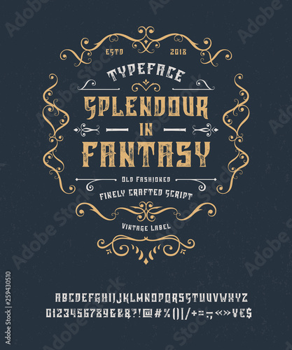 Font Splendour in Fantasy. Hand crafted retro vintage typeface design. Handmade lettering. Authentic handwritten alphabet.Ornament frame. Vector graphic illustration old badge label logo template.