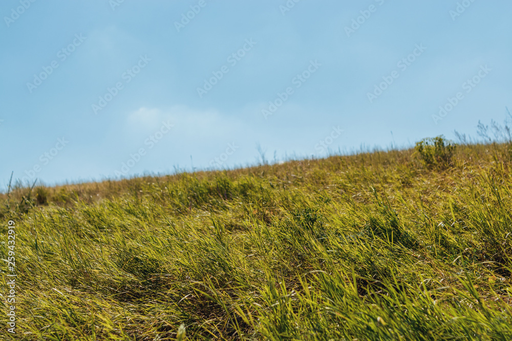 Fototapeta premium Green grassy damm with blue sky