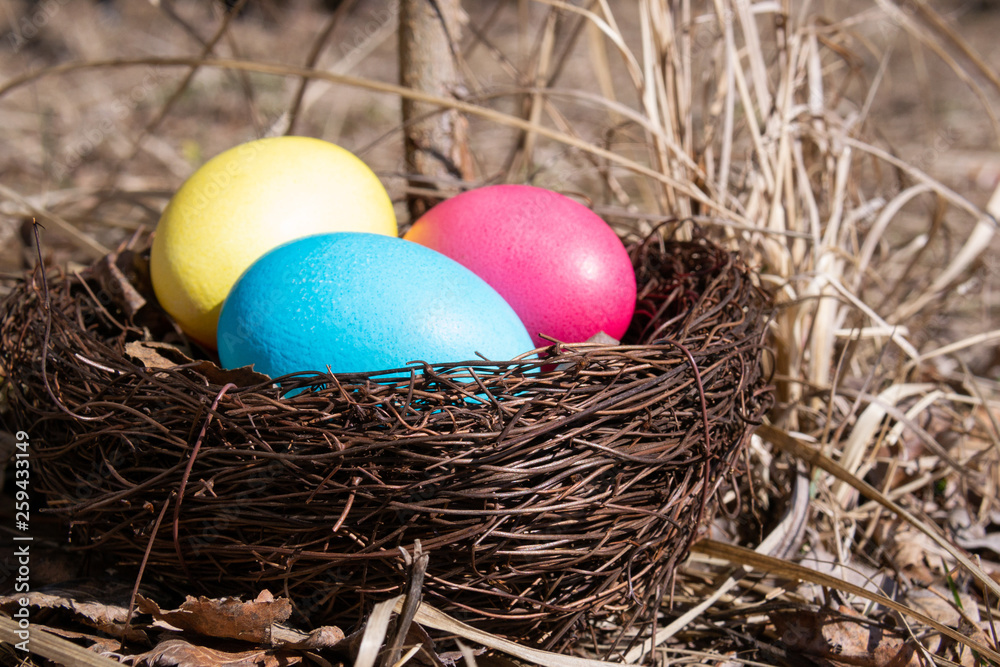 Obraz premium Painted Easter eggs in a nest on spring grass