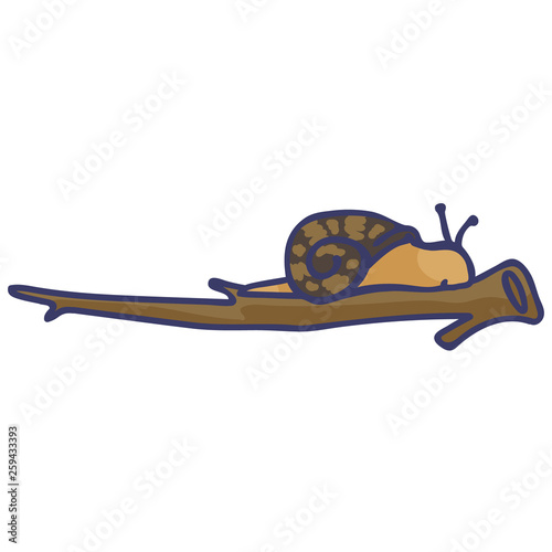 Cute snail on branch cartoon vector illustration motif set. Hand drawn isolated entomology elements clipart for nature blog, creepy crawlie graphic, garden wildlife web buttons.