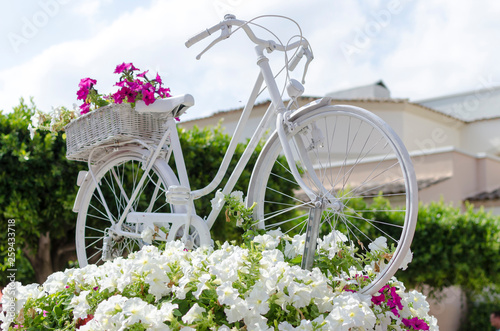 bicicleta blanca en jardin photo