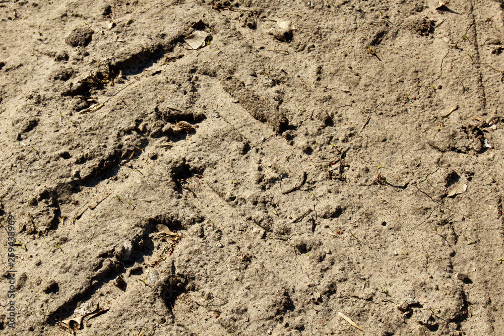 sandy ground close up. footprint and tire texture sandy ground close up. footprint and tire texture