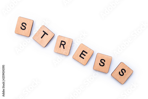 The word STRESS