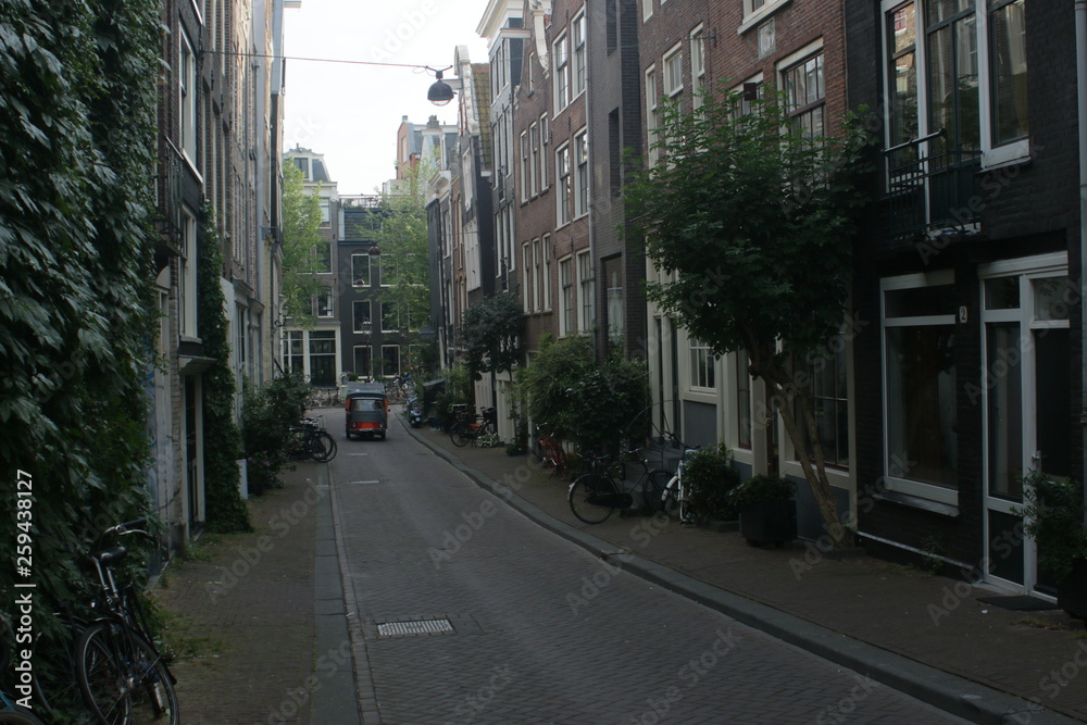 street in the city