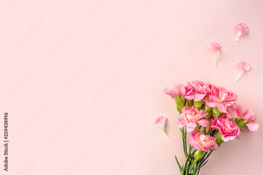 top view of carnation on pink for mother day - obrazy, fototapety, plakaty 