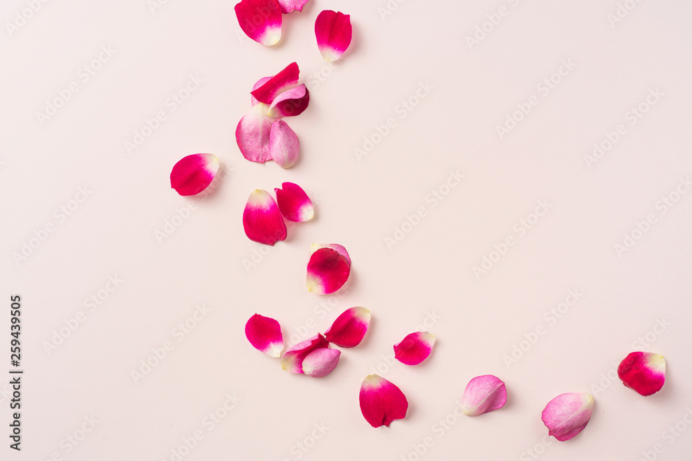 top close up view of red rose petal on pink