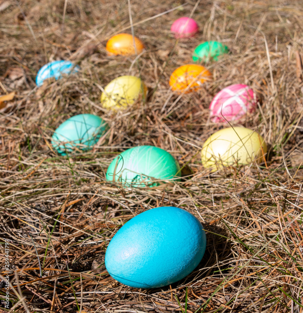 Obraz premium Easter decorated eggs in a forest on spring grass
