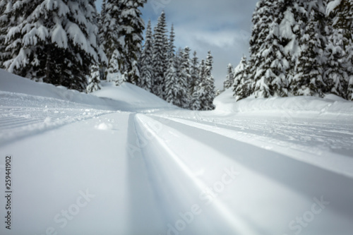 Skiing tracks © Paloma Ayala
