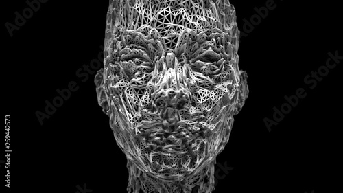 Fading Face