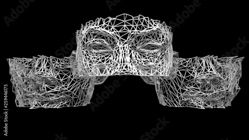 Female Face Scan