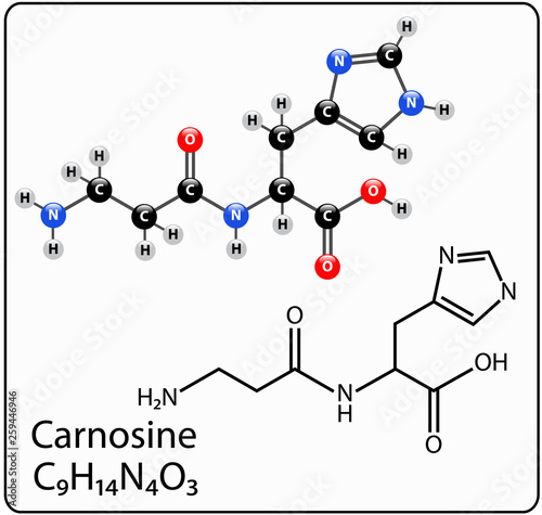 Carnosine Molecule Structure