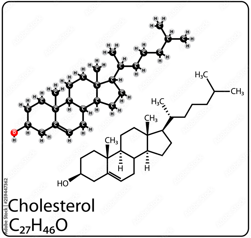 Cholesterol Molecule Structure