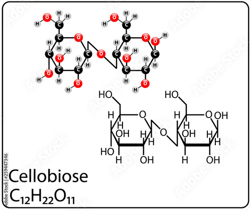 Cellobiose Molecule Structure