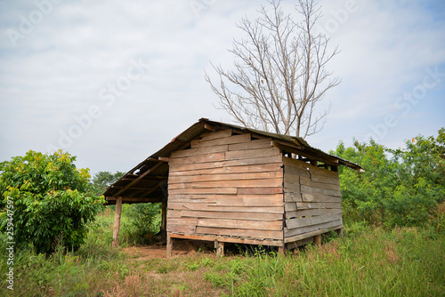 Shed Old hut   Cottage wooden in the agriculture field