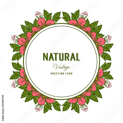 Vector illustration artwork flower frames bloom with natural vintage cards © StockFloral