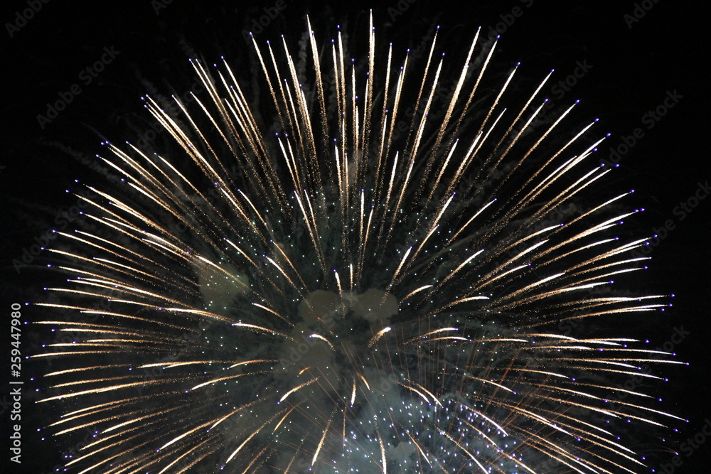 Naklejka premium 秩父夜祭の花火(埼玉県)