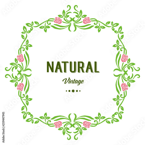 Wallpaper Mural Vector illustration green leafy wreath frame with greeting card natural vintage Torontodigital.ca