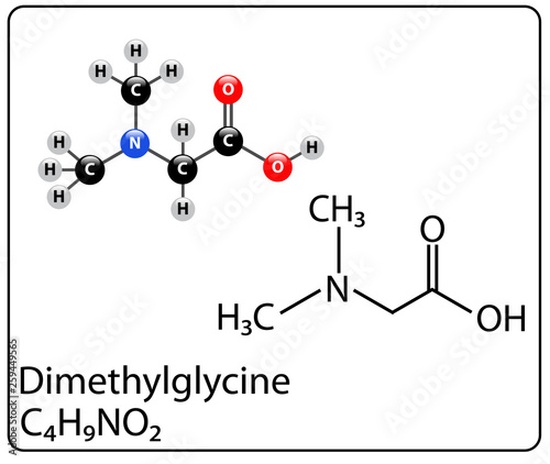 Dimethylglycine Molecule Structure photo
