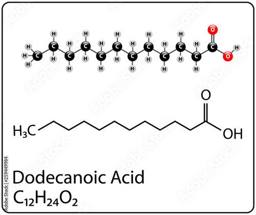 Dodecanoic Acid Molecule Structure