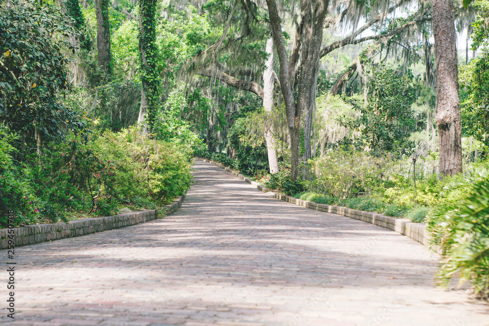 Obraz premium Tallahassee Garden