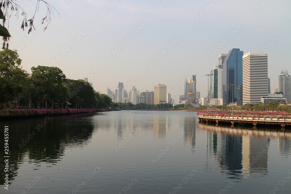 Obraz premium Sky Scrapers and the Lake in the Park in the Center of Town