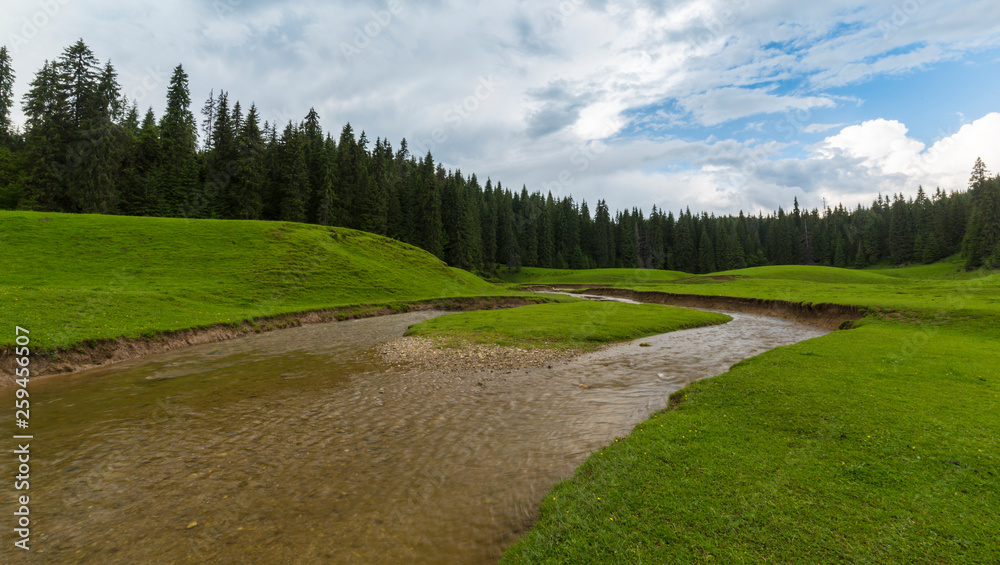 Summer scenery in Transylvania, with beautiful meadow and a lake in the mountains Summer scenery in Transylvania, with beautiful meadow and a lake in the mountains