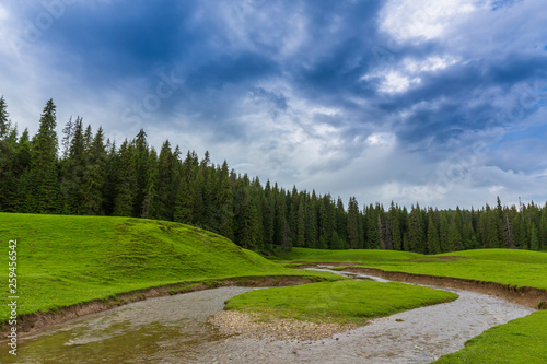 Summer scenery in Transylvania, with beautiful meadow and a lake in the mountains