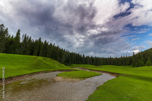 Summer scenery in Transylvania, with beautiful meadow and a lake in the mountains