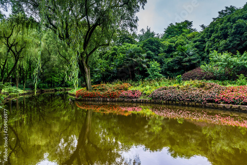 Photography Parks and lake at Shanghai Zoo