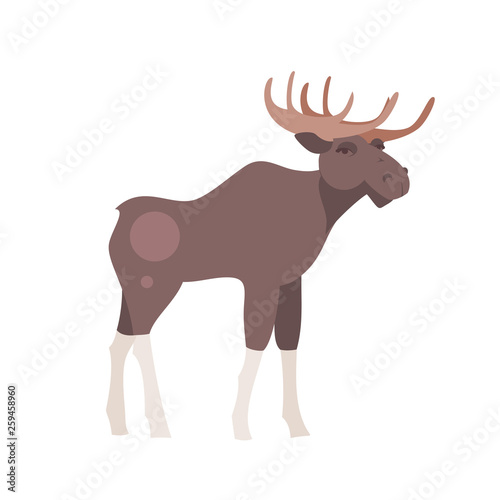 Cartoon moose vector