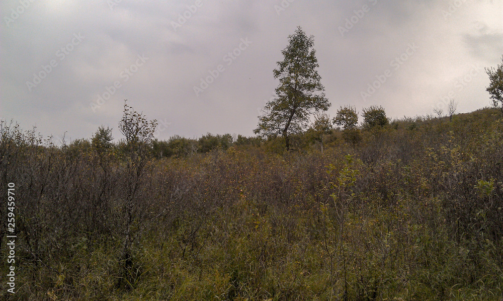 Obraz premium Natural beauty of Northern Saskatchewan