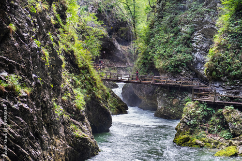 Young undefined girl walking on wooden bridge at Vintgar Gorge canyon. Slovenia