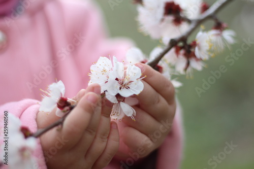 little baby pens that hold a blooming twig of an apple tree