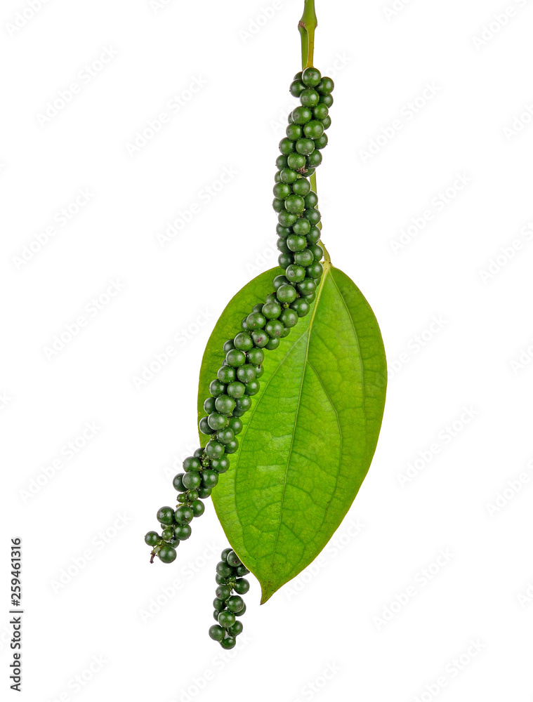 Fresh green peppercorns on white background Fresh green peppercorns on white background