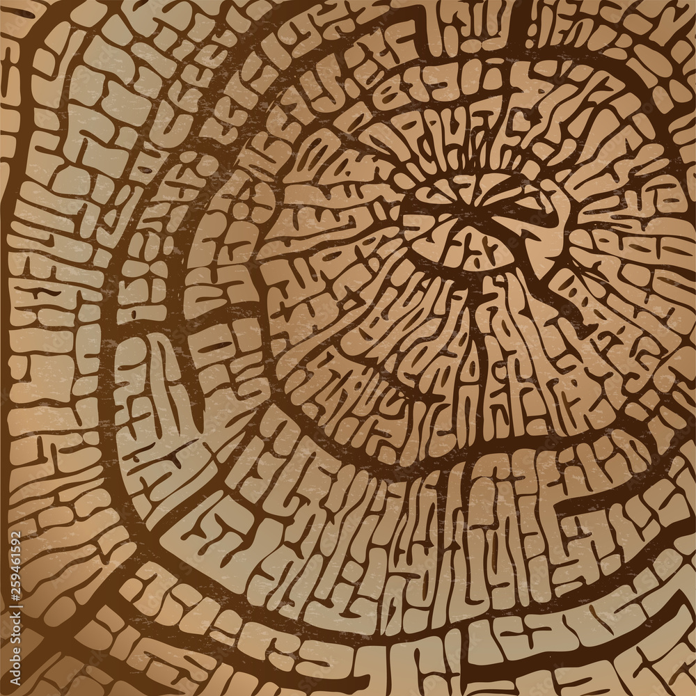 texture of sawn wood in brown tones vector image