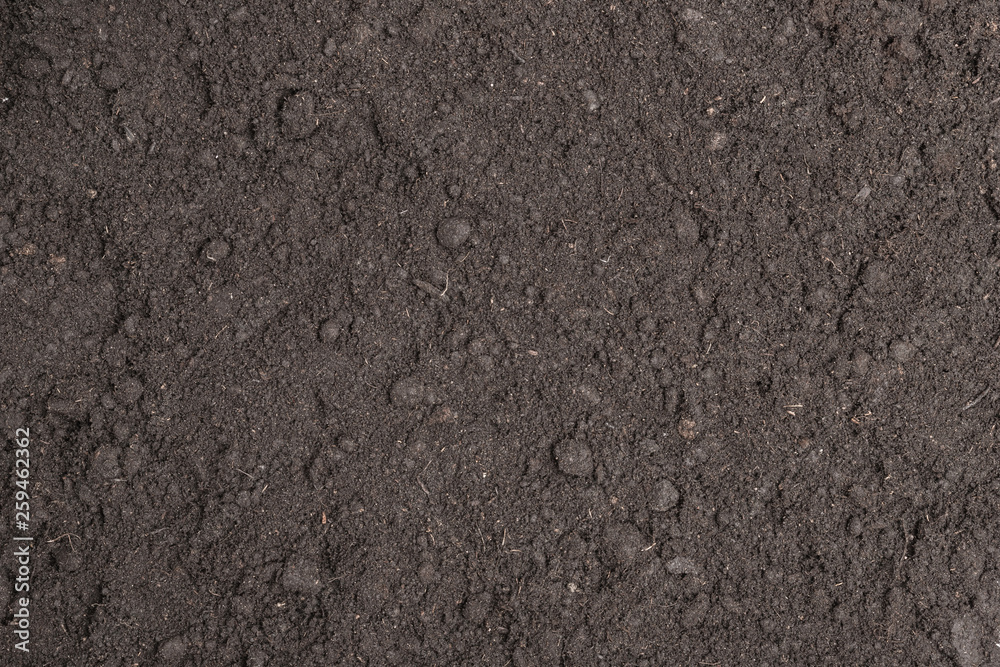 Fertile surface soil suitable for planting, soil texture background. - obrazy, fototapety, plakaty 