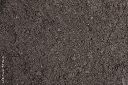 Fertile surface soil suitable for planting, soil texture background. photo