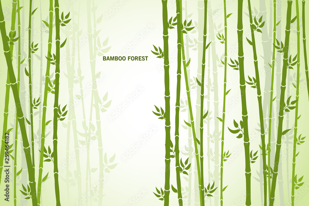 Fototapeta Wektor kartkę z życzeniami z bambusa na jasnym tle.