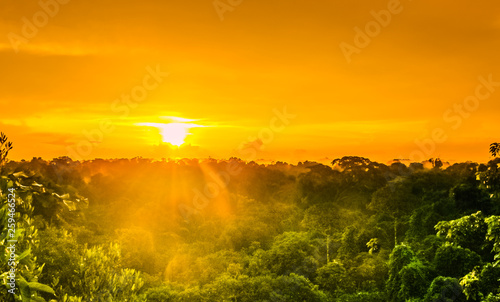sunset over the trees in the brazilian rainforest of Amazonas photo