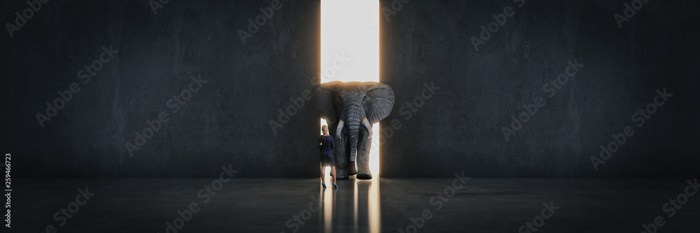 Fototapeta słoń w pokoju przy ścianie. koncepcja kreatywna