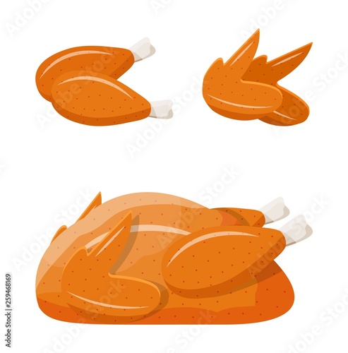 Fried fresh chicken body. Whole bbq cooked chicken. Breast, fillets, leg, wings, drumsticks for cooking. Turkey bird meat. Vector illustration in flat style