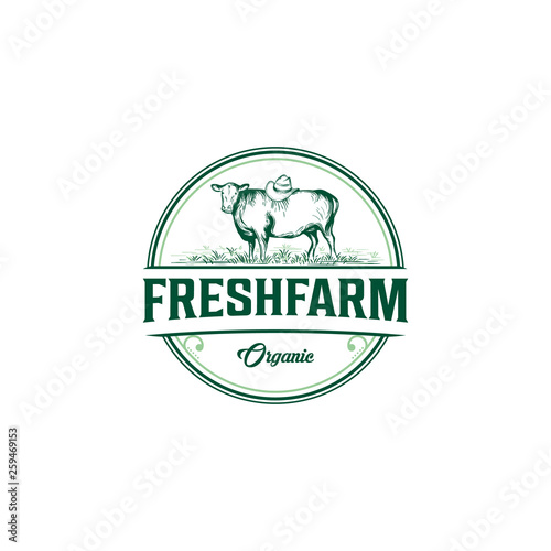 vintage angus / cow farm logo graphic design template vector illustration