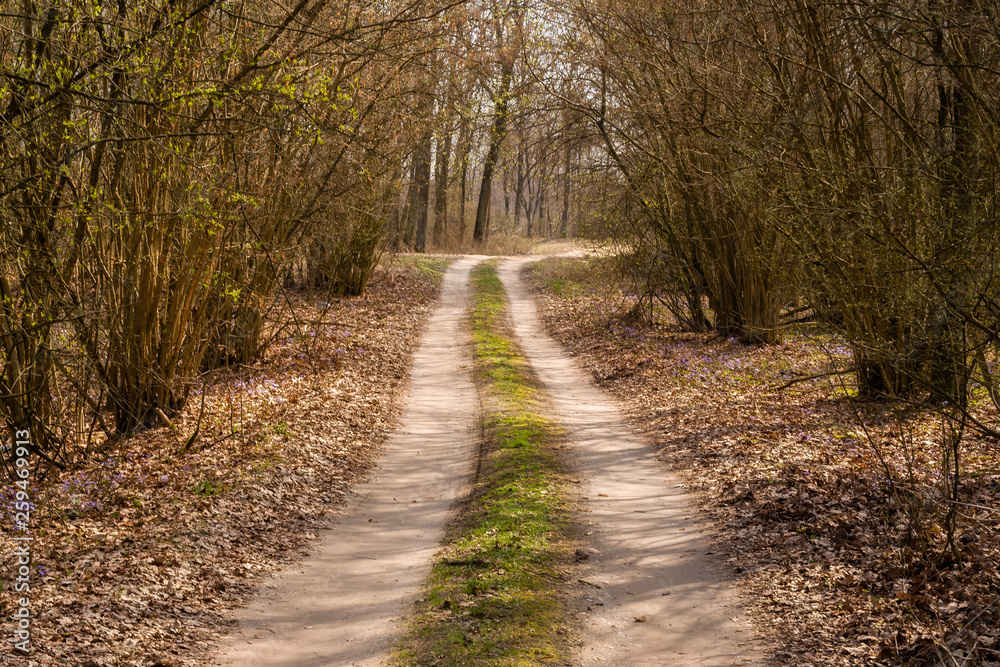 Krajobraz wiejski. Wiosna na Podlasiu. Dolina Narwi