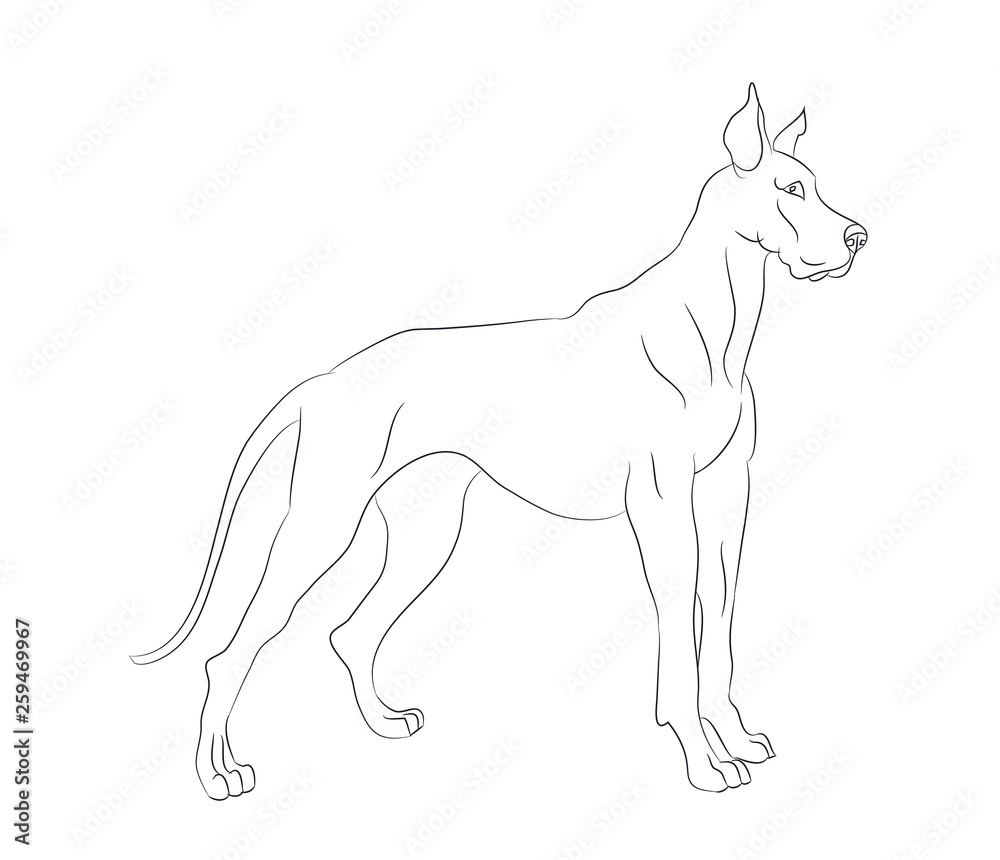dog stands, lines, vector