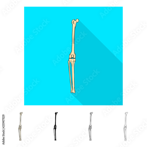Vector design of medicine and clinic icon. Set of medicine and medical stock symbol for web.