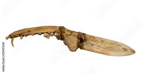 Old knife of the North American Indians of bone and tendon