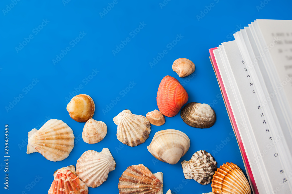 seashell and book on a blue background seashell and book on a blue background